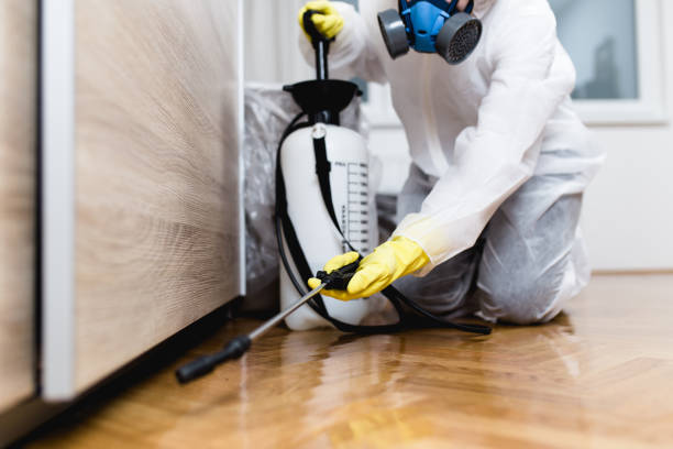Best Pest Control Near Me in Gloversville, NY