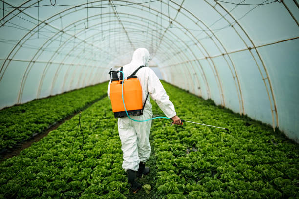 Pest Prevention Services in Gloversville, NY