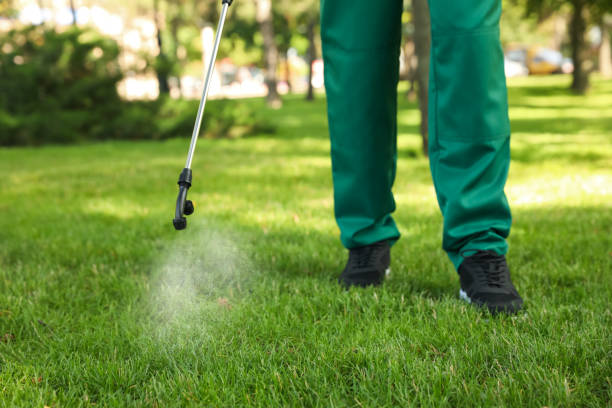 Best Ant Control Services  in Gloversville, NY