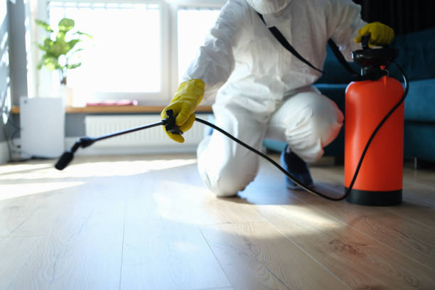 Best Wasp Removal Services  in Gloversville, NY