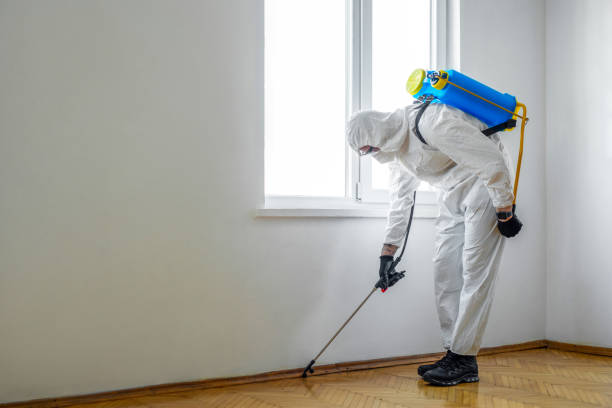 Best Best Pest Control Companies  in Gloversville, NY