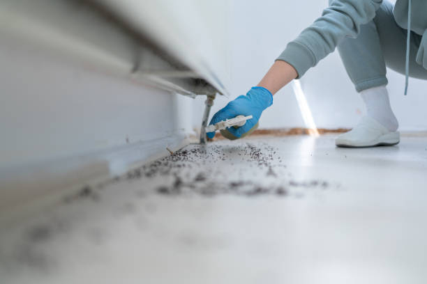 Best Spider Control Near Me  in Gloversville, NY
